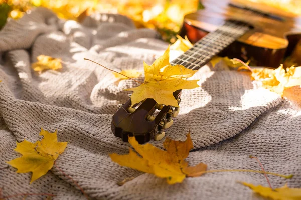 秋の背景に本 ギター — ストック写真