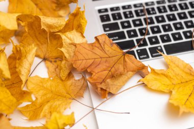 Bilgisayar, dizüstü bilgisayar ahşap bir arka planda. Dizüstü bilgisayar satışı. Yüksek kalite fotoğraf