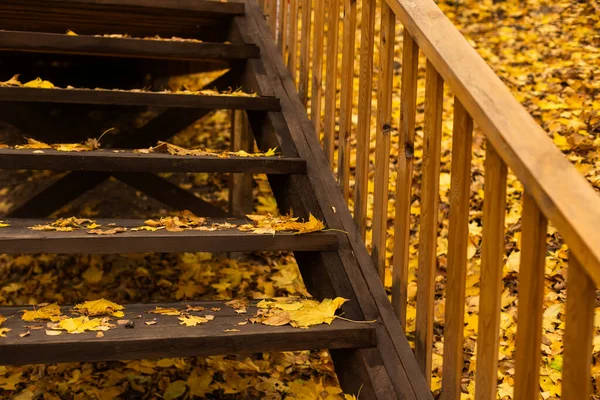 Σκάλες Ανηφορίζουν Φθινόπωρο — Φωτογραφία Αρχείου