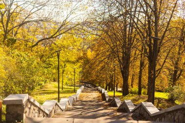 güneşli bir gün içinde altın yaprağı ile sonbahar Park Road.
