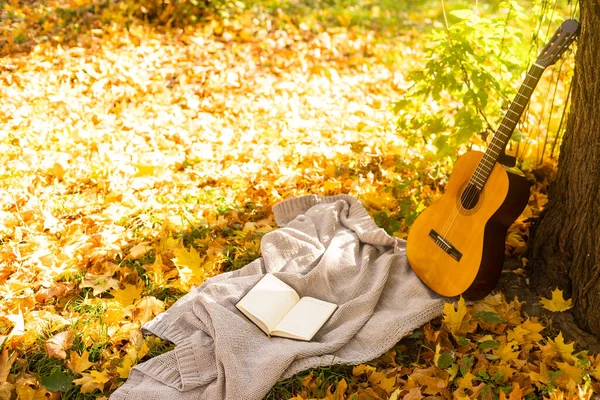 Gitara Pochylona Drzewie Jesienią Otoczona Żółtymi Liśćmi — Zdjęcie stockowe