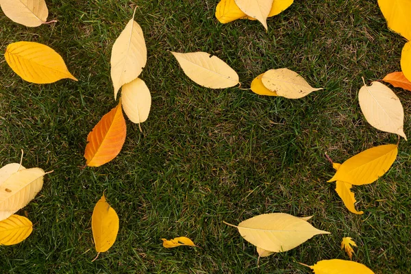 美しい秋の公園で黄色 オレンジ 赤の秋の葉 — ストック写真