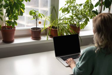 Mutlu gülümseyen, mavi gömlekli, mutlu bir çalışan iş kadını. Açık modern ofisteki bilgisayarlı, iş yerindeki beyaz masa başı işinde çalışıyor. Başarı kariyer konsepti