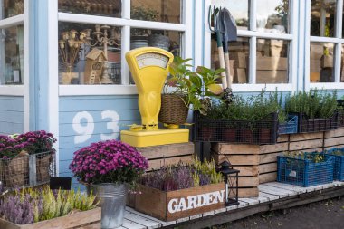 Küçük işletme, çiçek teslimatı. Modern çiçekçi iç mimarisi, resepsiyon masası. Çiçek tasarım stüdyosu, dekorasyon ve düzenlemelerin satışı.