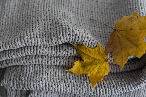 Autumn Composition Warm Knitted Plaid Yellow Leaves White Background Autumn — Stock Photo, Image