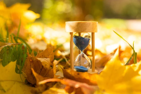 Herbstliches Thema Sandglas Auf Abgefallenen Blättern Verschiedenen Farben Mit Kopierraum — Stockfoto