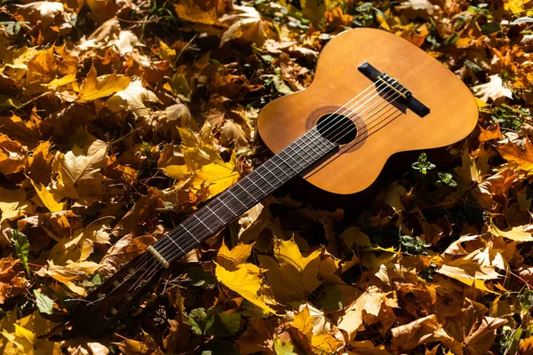Гитара Осенние Листья Фона — стоковое фото