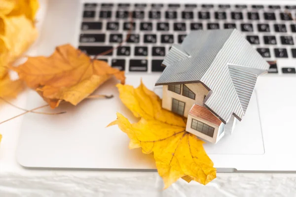 stock image dry autumn leaves and laptop and toy house.