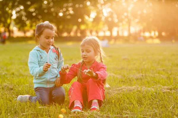 Zwei Kleine Freundinnen Mädchen Auf Dem Feld — Stockfoto
