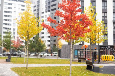 Kentsel alanda sonbahar ağaçları. Konut ve sanayi binalarının çatıları çok renkli yaprakların taçlarında gömülüdür..
