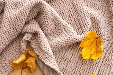 Ekoseli ve sarı yapraklı sonbahar arkaplanı.