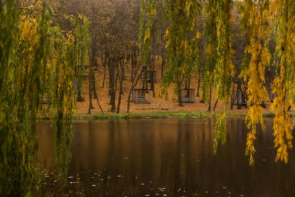 Jesienny Las Odbity Spokojnych Wodach Jeziora Daje Efekt Lustra — Zdjęcie stockowe