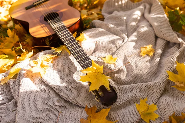 秋季背景与黄色叶子在公园和吉他 — 图库照片