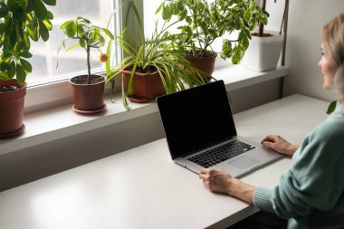 Koltukta oturan ve ayaklarını pencere kenarına koyan bir kadın kendini tecrit sırasında dizüstü bilgisayarda çalışıyor, yakınlardaki kedi ilgi istiyor ve okşanmak istiyor. Evden iş..