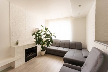 Ev yapımı incir saksısı. Minimalizm. ev bitkisi konsepti. İncir. Yüksek kalite fotoğraf