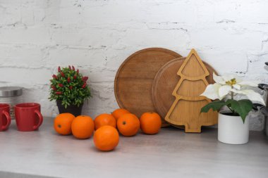Noel asgari konsepti. Xmas ağacı silueti, taze mandalina. Kompozisyon, düz yatış. Noel süsü. Kış mevsimi