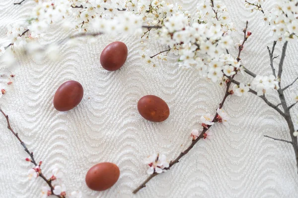 Traditional Easter Cakes Colored Eggs Branch Tree — Stock Photo, Image