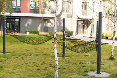 hamak ağacı yeşil çimen kumu. Yüksek kalite fotoğraf