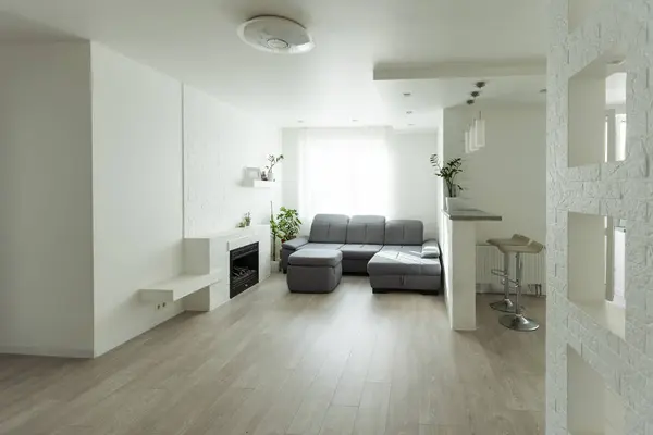 white apartment, sofa gray sun. High quality photo