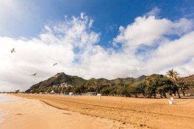 mükemmel kumsal sıcak yaz gününde.