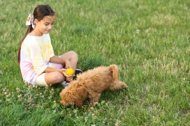 # Malta köpeği olan küçük bir kız, açık hava yazı #