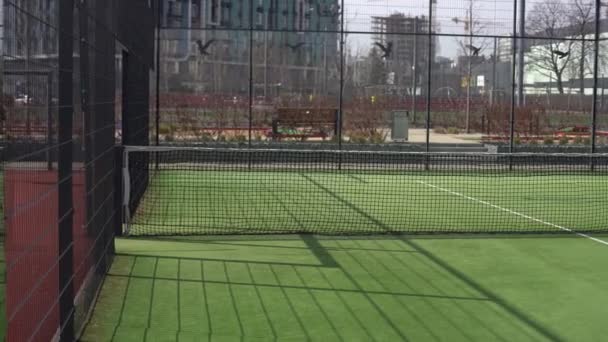 Прекрасний Тенісний Корт Сонячний День Високоякісна Фотографія — стокове відео