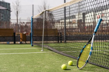 Yeşil sahada tenis ağı. Yüksek kalite fotoğraf