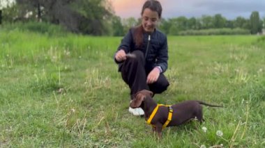 Küçük kız ve köpeğinin yavaş çekim görüntüleri. Yüksek kaliteli FullHD görüntüler