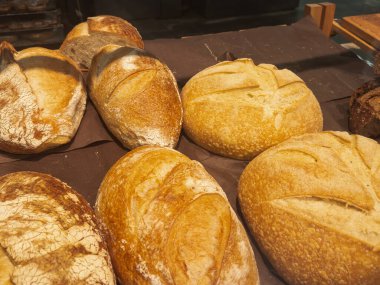 Kahverengi bir arka planda farklı taze ekmek çörekleri. Taze pişmiş buğday ekmeği, ekmekle hayat. Yüksek kalite fotoğraf