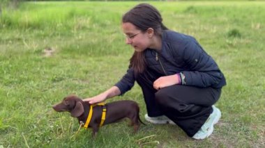 Küçük kız ve köpeğinin yavaş çekim görüntüleri. Yüksek kaliteli FullHD görüntüler