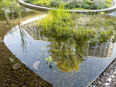 Thuja 'nın asfalt boyunca taşları ve kozalaklı çalılarıyla bahçede peyzaj yapmak. Yüksek kalite fotoğraf