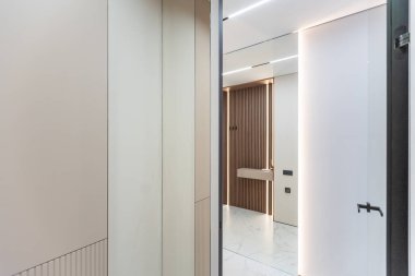 Aydınlık duvarları ve gardırobu olan yeni bir evin şık iç tasarımı. Yüksek kalite fotoğraf