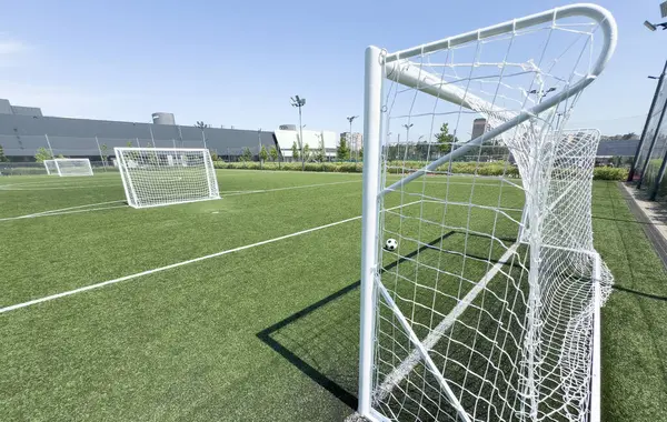 stock image The ball hammered into a gate. High quality photo