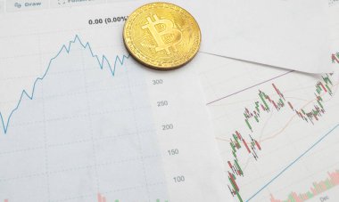 Bitcoin piyasa veri kartı. Bitcoins yeni sanal para birimi kavramı. Yüksek kalite fotoğraf