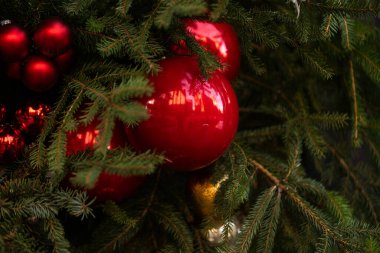 Noel ağacında Noel balosu. Yüksek kalite fotoğraf