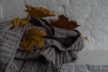 Beyaz arkaplanda sonbahar kompozisyonu ekose ve sarı yapraklar