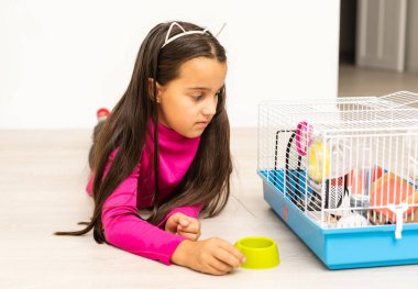 Küçük kız evde sevimli bir hamsterla oynuyor.,