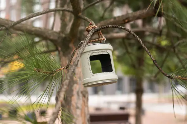 stock image Preparation for winter. homemade feeder.