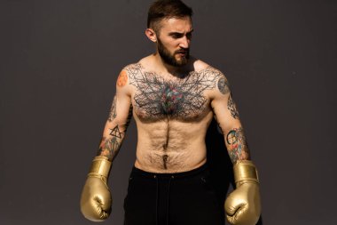 Boksör sporcu eldivenlerini giyip dışarıda antrenman yapmaya hazırlanıyor.