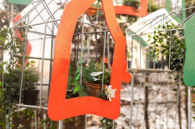 Çerçevede iç dizayn tesisleri. Zarif sokak dekoru. Sokak fotoğrafı, seçici odak, hiç kimse