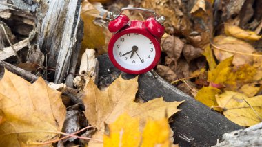 Bokeh ile birlikte sarı ahşap zemin üzerinde klasik çalar saat ve akçaağaç yaprakları. Sonbahar sezonu imajı. Yüksek kalite fotoğraf