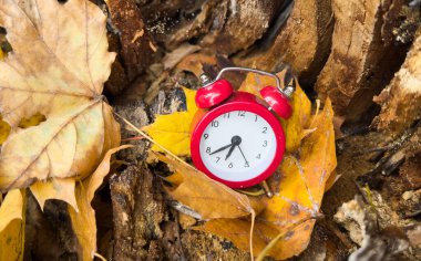Bokeh ile birlikte sarı ahşap zemin üzerinde klasik çalar saat ve akçaağaç yaprakları. Sonbahar sezonu imajı. Yüksek kalite fotoğraf