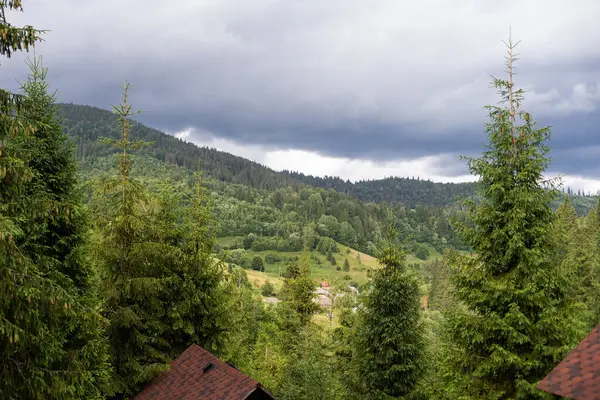 Ormandaki evlerin çatıları.