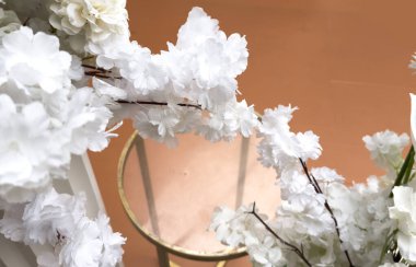 Güzel beyaz çiçek arkaplanı, beyaz çiçek yapraklarını kapat. Yüksek kalite fotoğraf