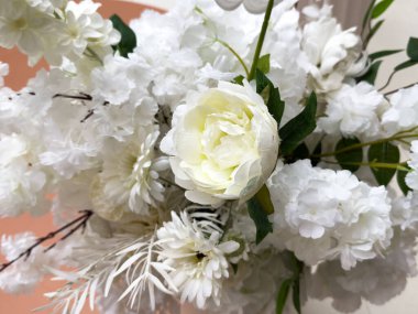 Güzel beyaz çiçek arkaplanı, beyaz çiçek yapraklarını kapat. Yüksek kalite fotoğraf