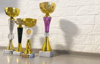 Şampiyonluk kupası. Binicilik sporu için altın madalya. Yüksek kalite fotoğraf