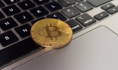 Altın bitcoin sikkeler, dizüstü bilgisayarlar, flaş bellek, yakın çekim. Kripto para birimi konsepti. Yüksek kalite fotoğraf