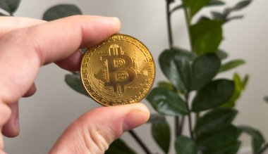 Altın bitcoin erkeklerin elinde. Yüksek kalite fotoğraf