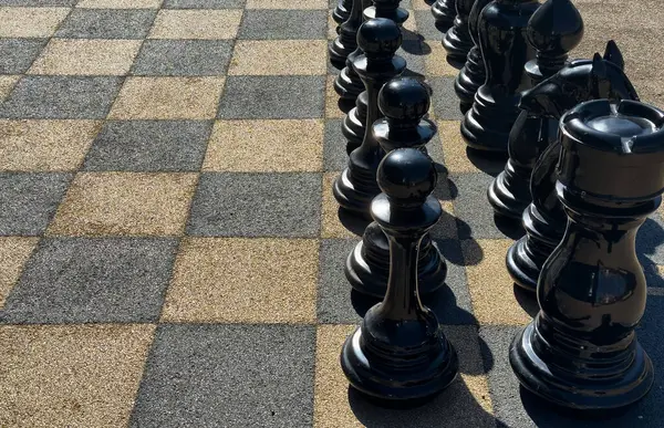 Parktaki büyük satranç taşları. Yüksek kalite fotoğraf