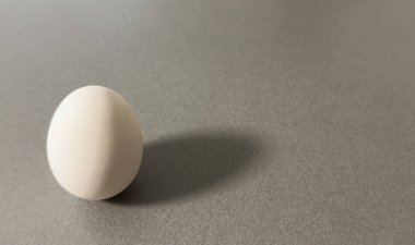 Beyaz bir yüzeye yerleştirilmiş tek bir kahverengi tavuk yumurtasının, minimalist bir yapıda gradyan bir ışıkla yakın plan görüntüsü. Yüksek kalite fotoğraf